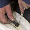 Tyre Valve